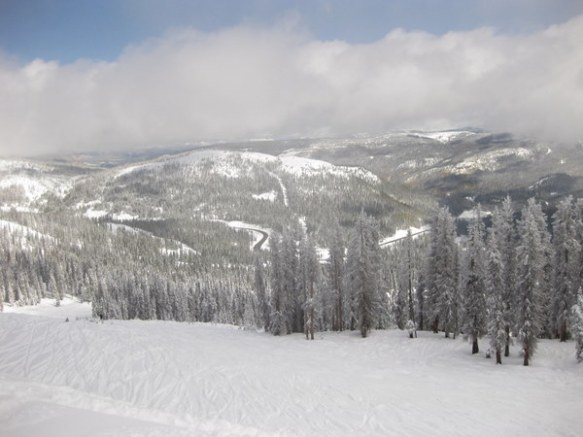 Wolf Creek Opening